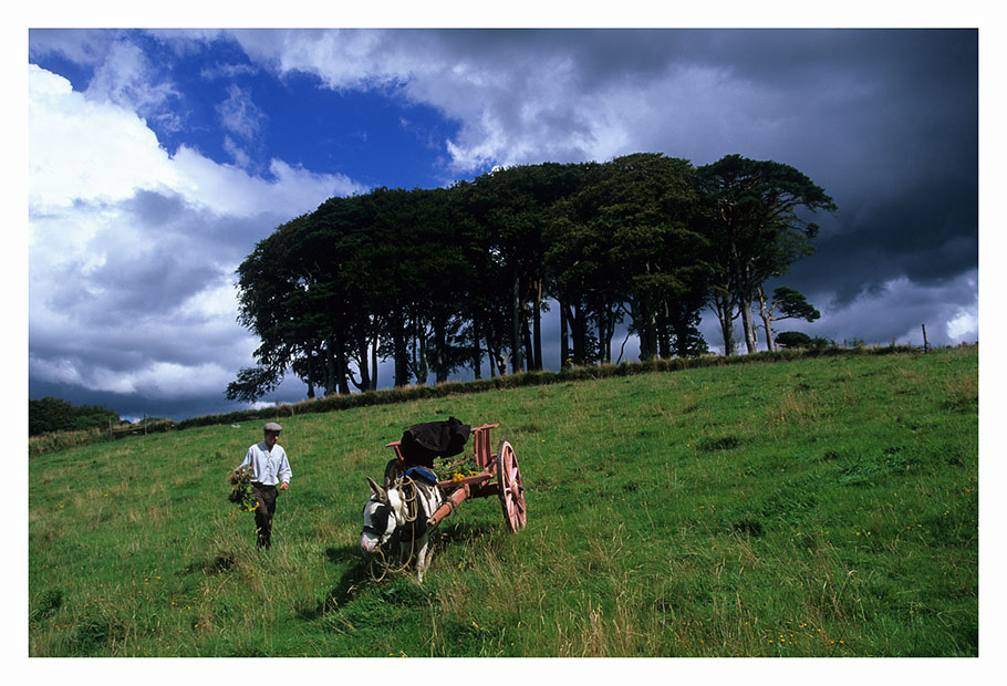 Muckross Farm (colour version)