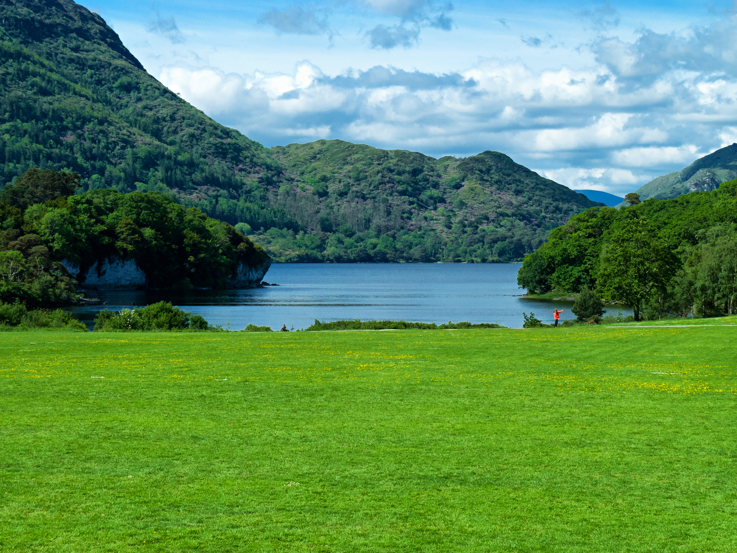 Muckross Garden, Irland