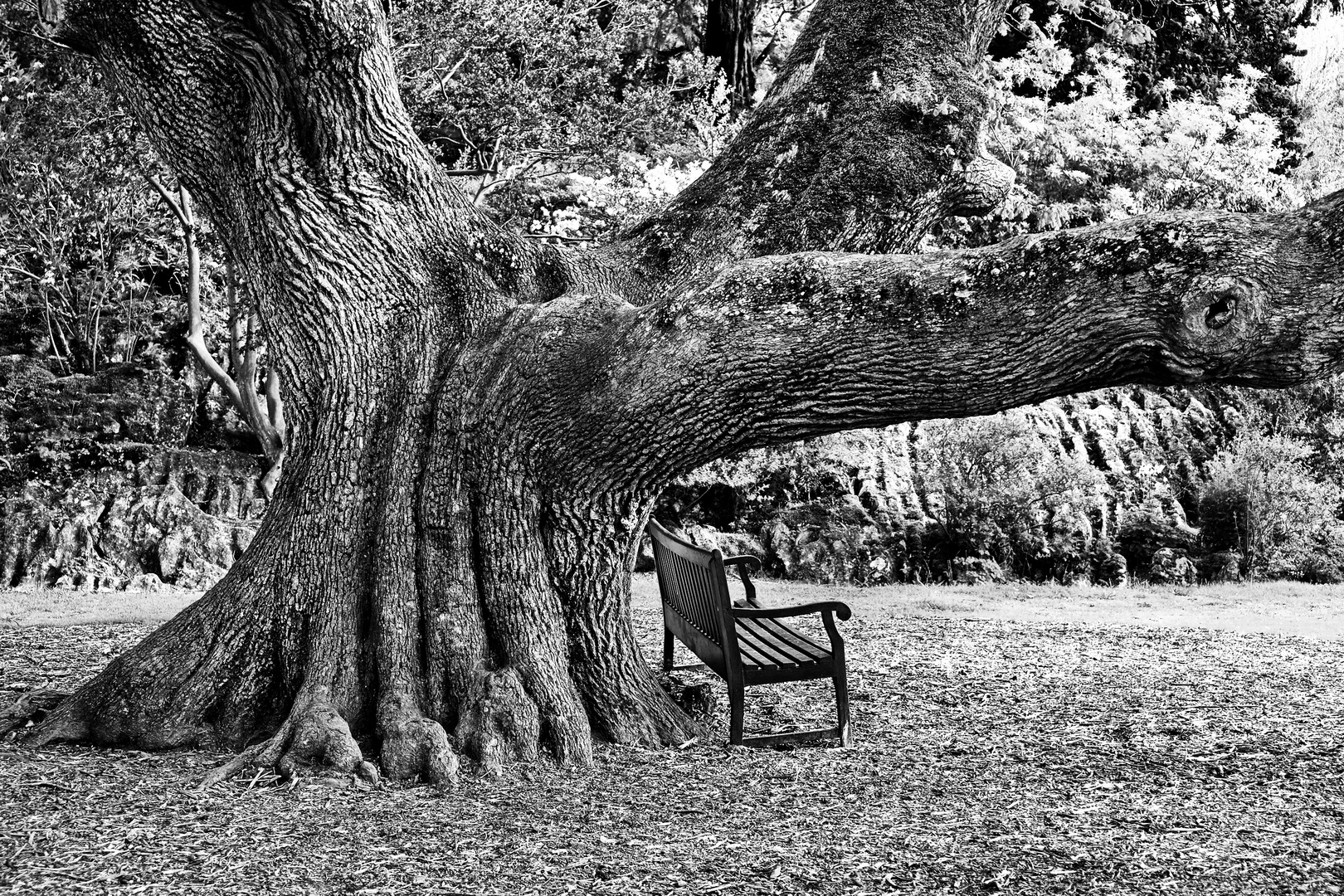 Muckross House