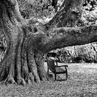 Muckross House