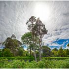 Muckross House