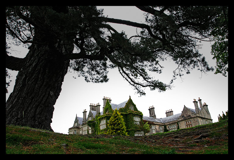 Muckross House