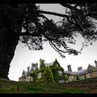 Muckross House