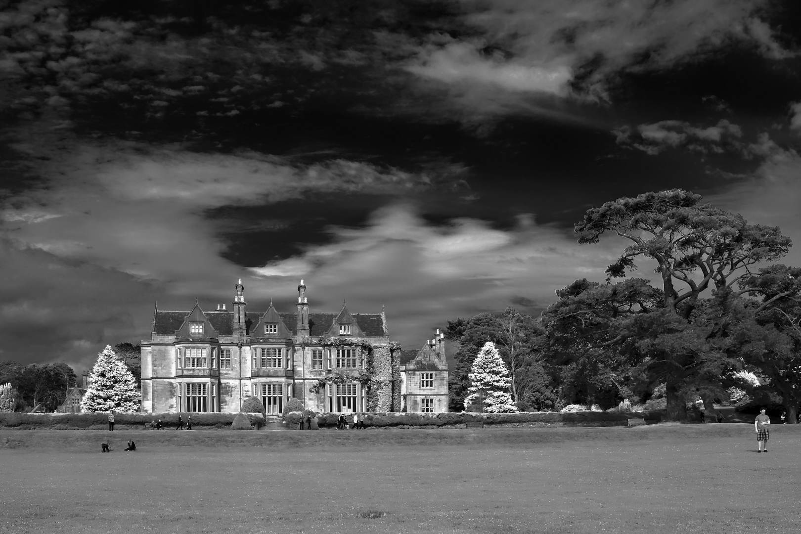 Muckross house