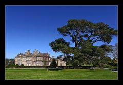 Muckross House