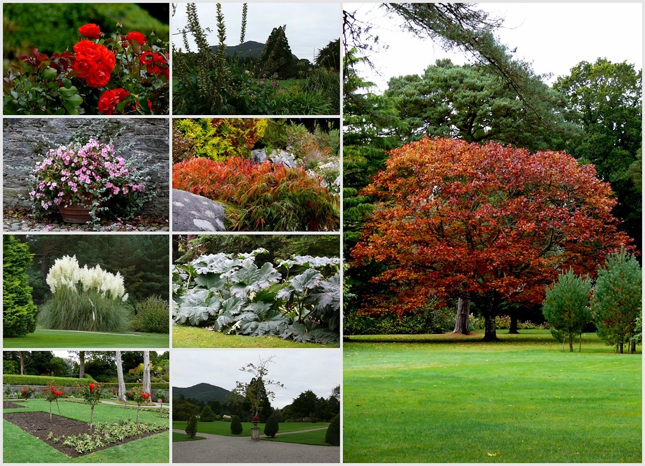 Muckross House Garden