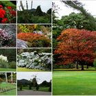 Muckross House Garden