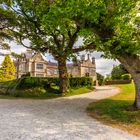 Muckross House II