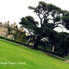 Muckross House - Killarney