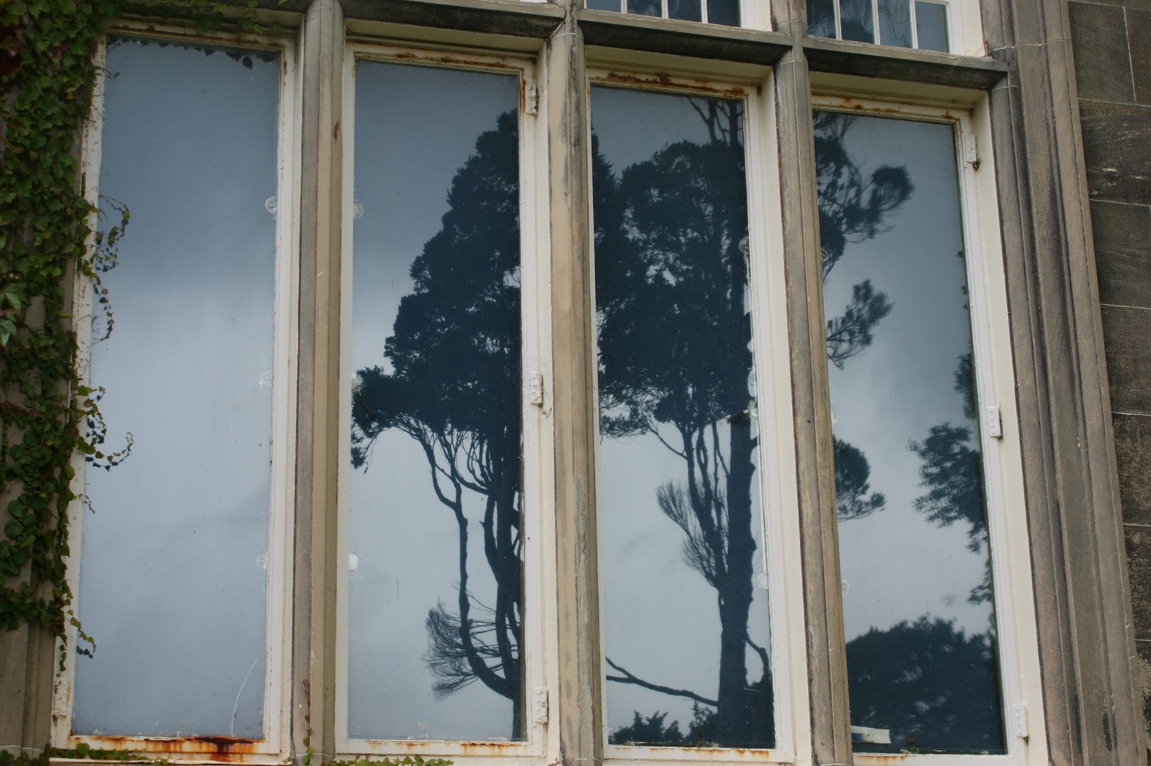 Muckross House, Killarney