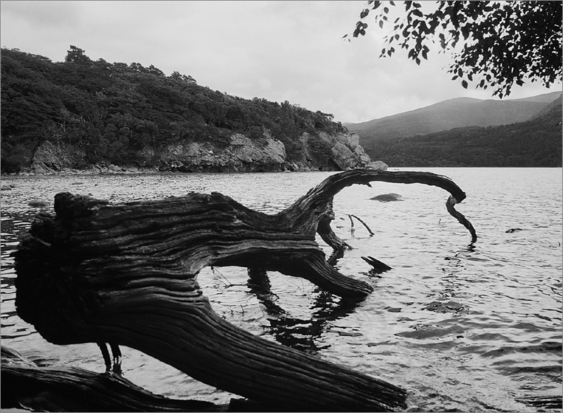 Muckross Lake