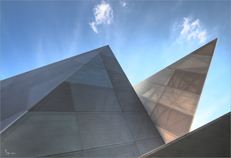 Mucroniferous Urban Plant Beneath Summer Sky With Cotton Wool Clouds