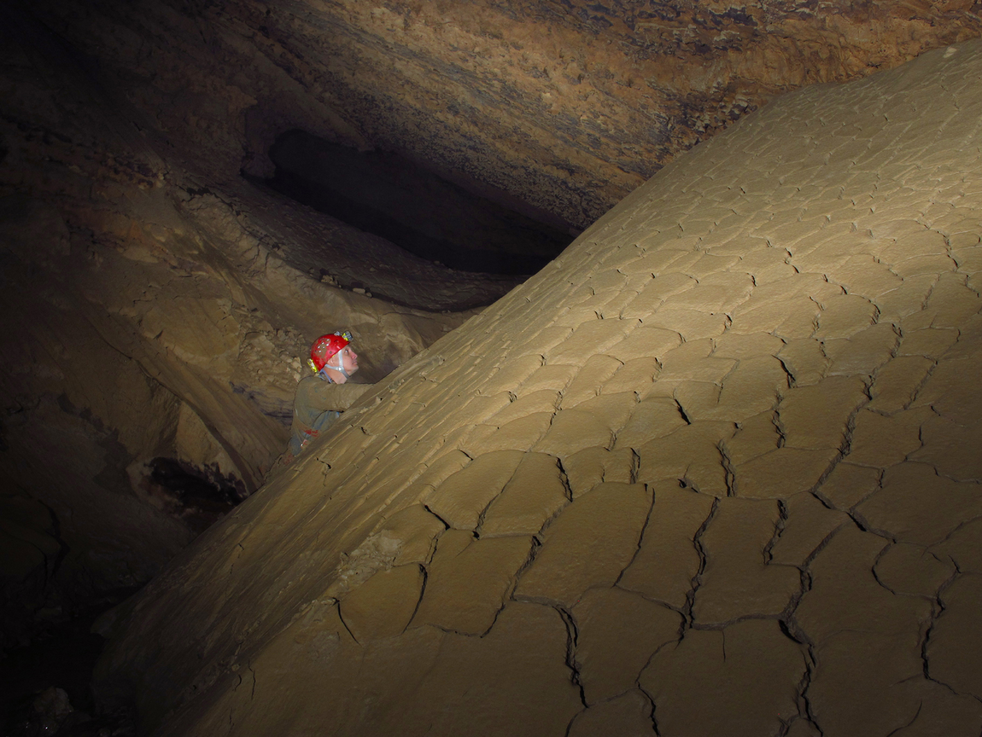 Mud Cracks