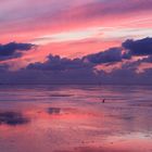 Mud Flat Evening Light