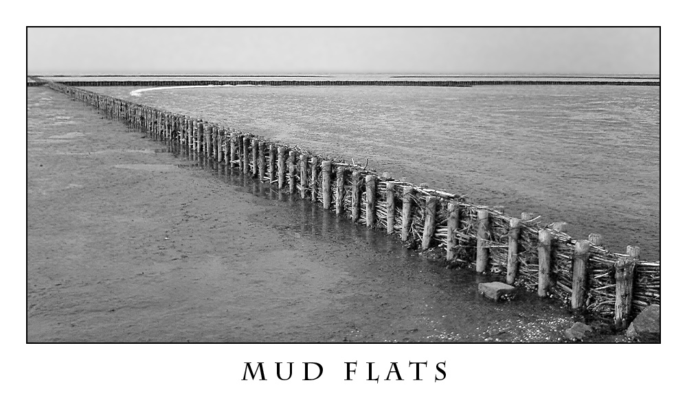 Mud Flats