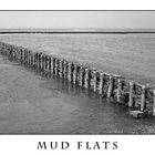 Mud Flats