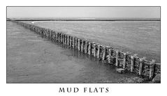 Mud Flats