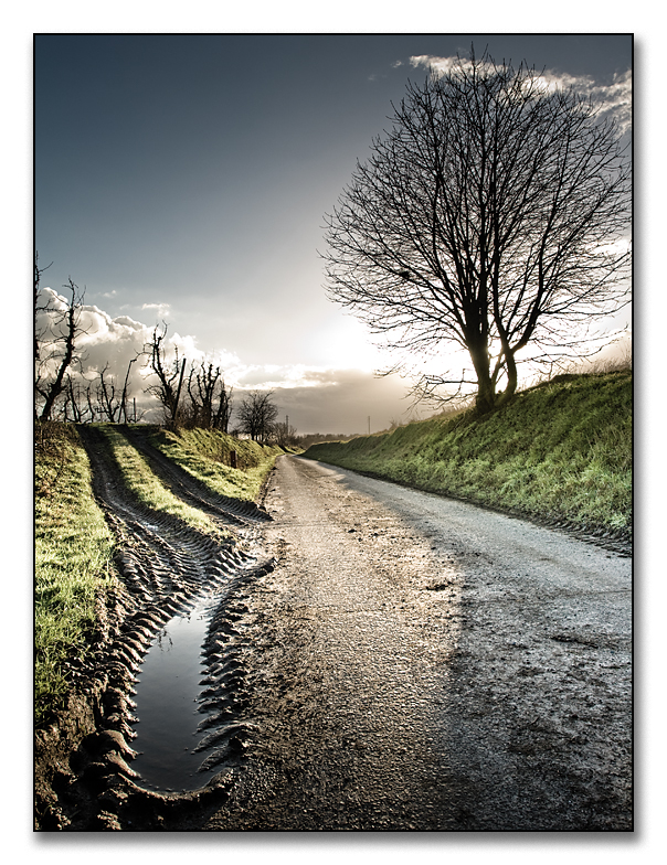 mud on the road