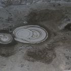 Mud Pool III