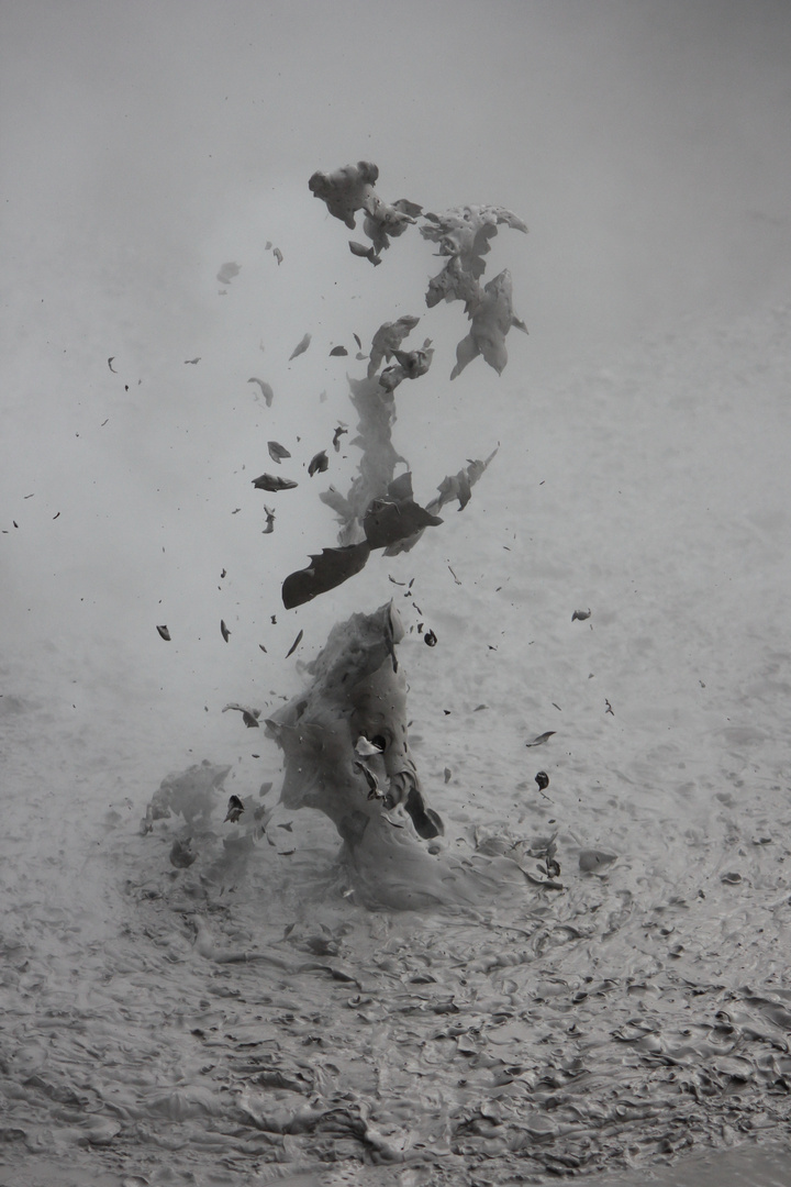 Mud pool - Wai-O-Tapu