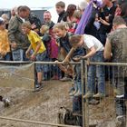 Mud Race Urbach 2012 (Bild 5)