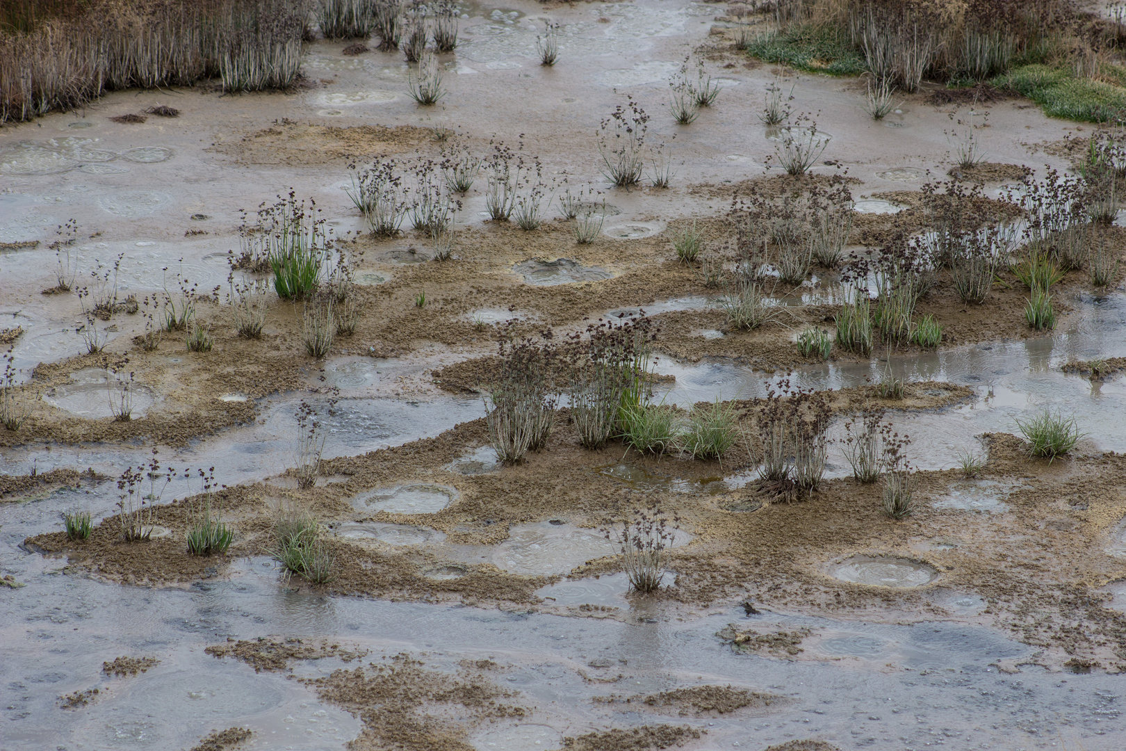 Mud Volcano