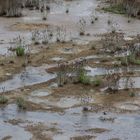 Mud Volcano