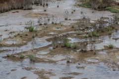 Mud Volcano