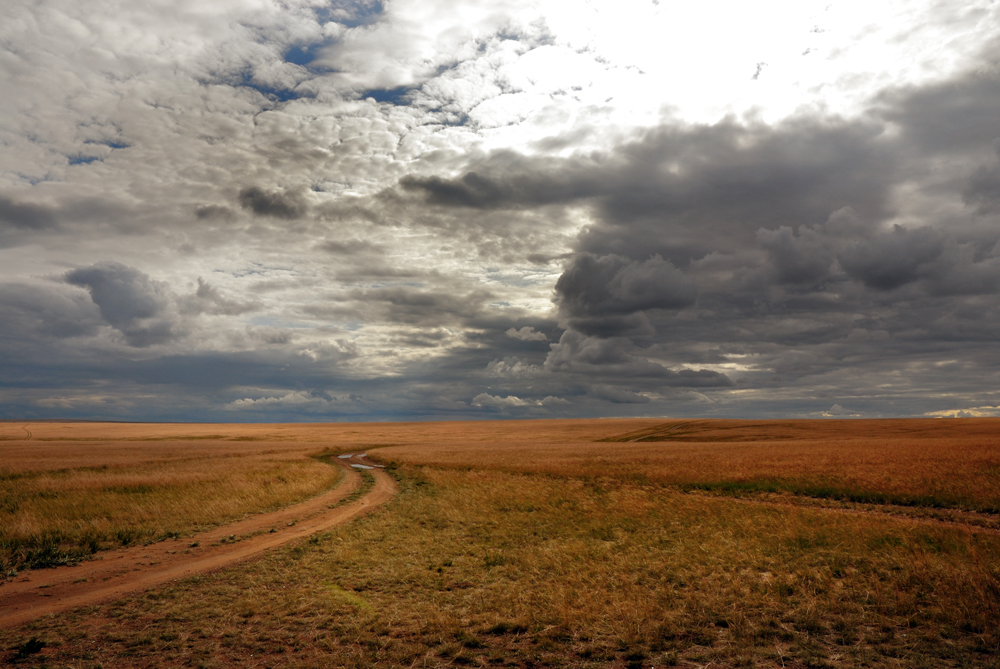 Muddy path through the endless veldt