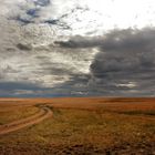 Muddy path through the endless veldt