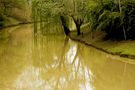 Muddy River von maurizio bartolozzi 