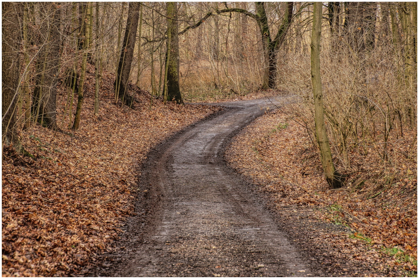 Muddy Road