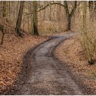 Muddy Road