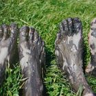 Mudfeets