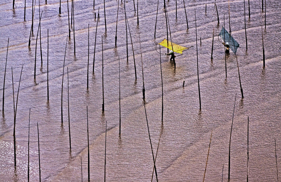 Mudflat Fishing