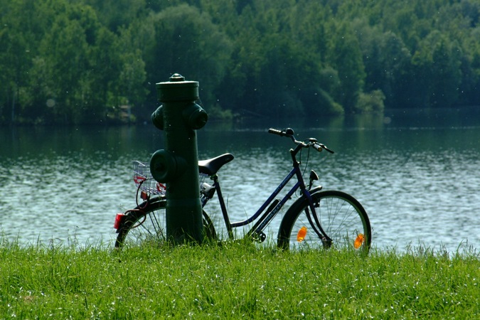 Mücken am See.