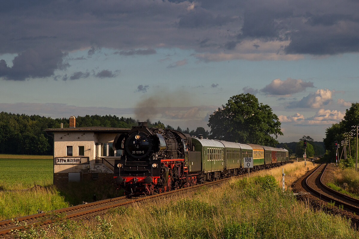 Mückenhain im Juni 2014