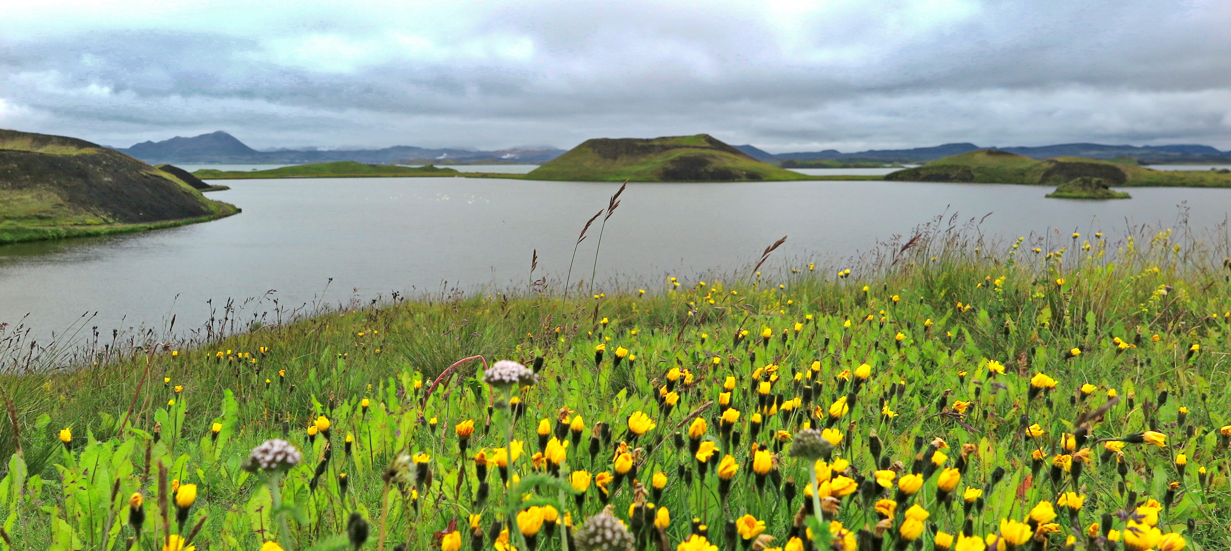 Mückensee in Island