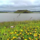 Mückensee in Island