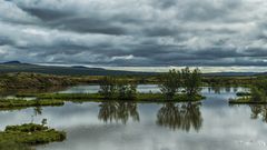 Mückensee ohne Mücken 