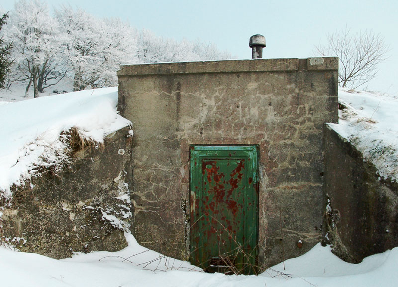 Müde Farben in der Winterlandschaft