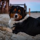 Müde vom Strandspaziergang 