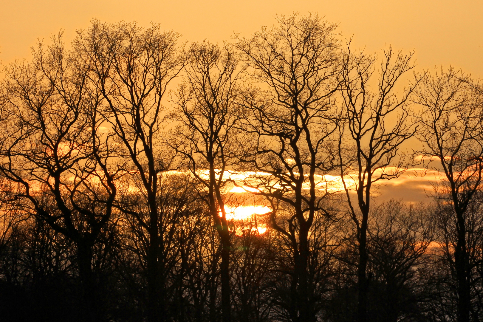 müder Blick der Abendsonne