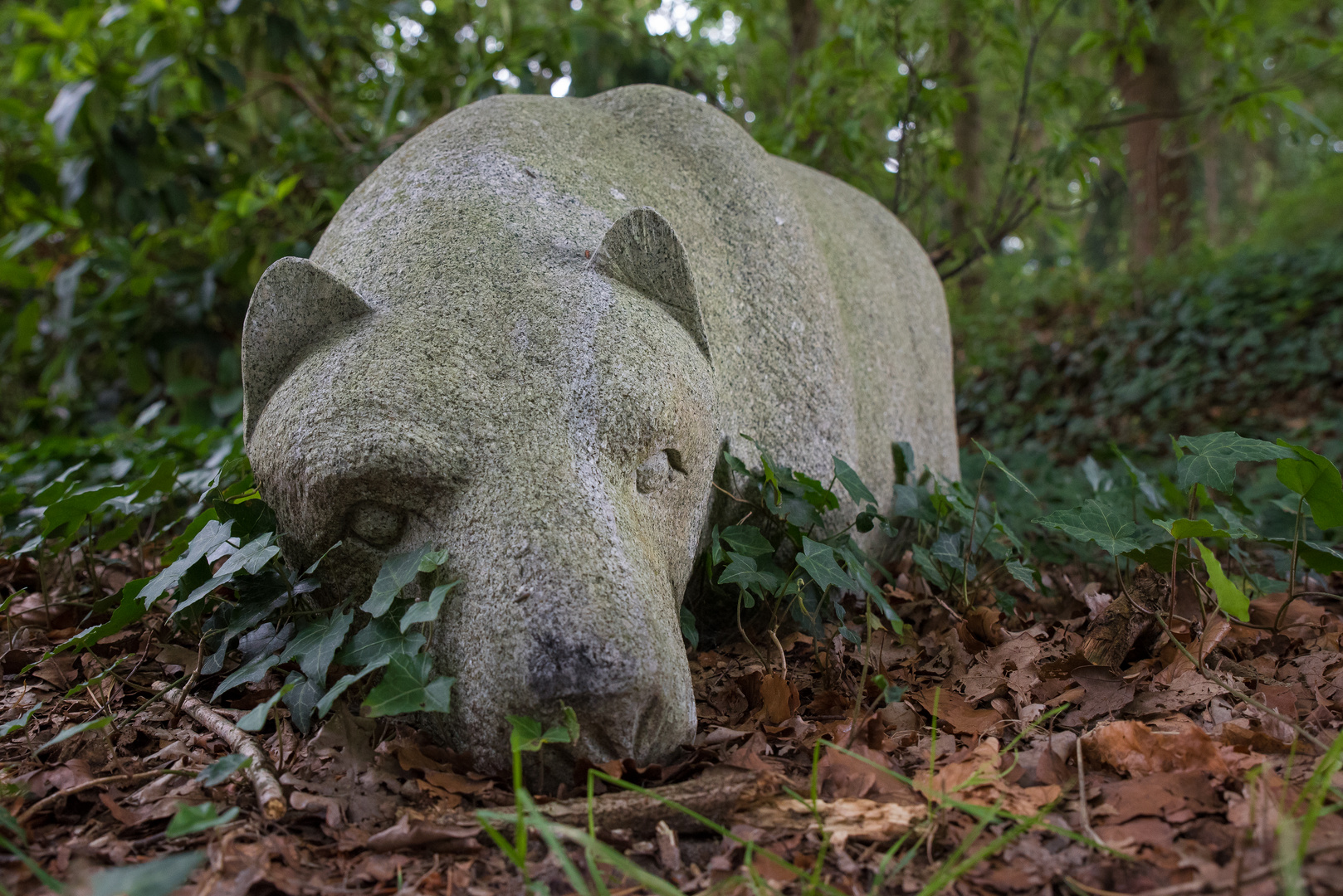 Müder Steinbär