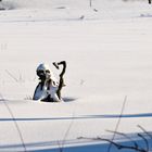 Müder Wanderer im Schnee