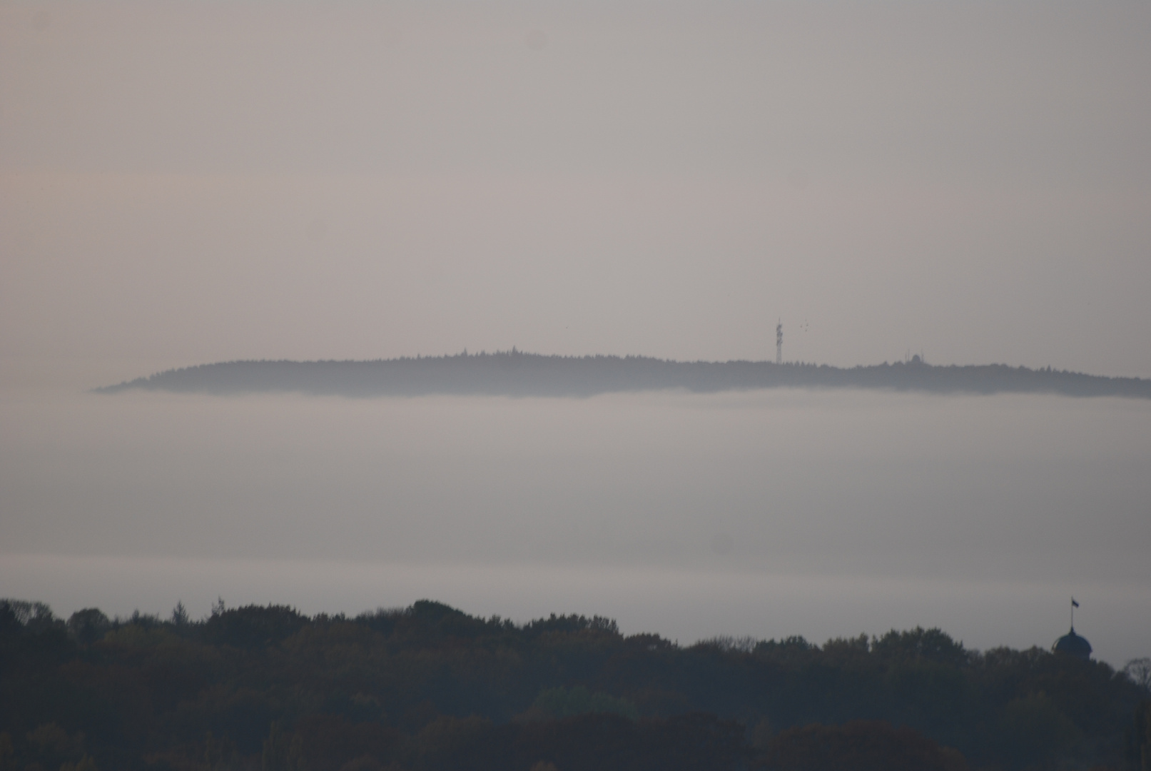 Müggelberg im Morgennebel