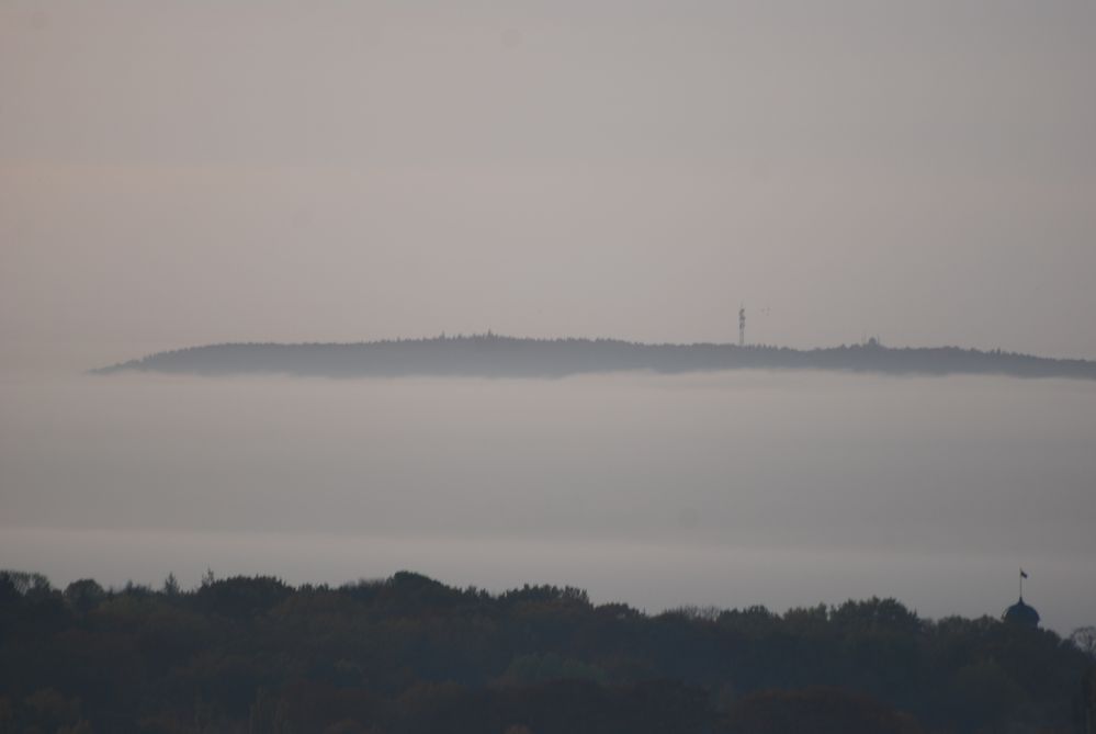 Müggelberg im Morgennebel