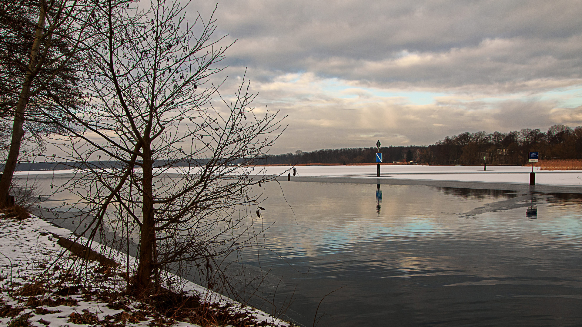 Müggelhorst 01 (3-2017)     (_MG_0002 (16-9))