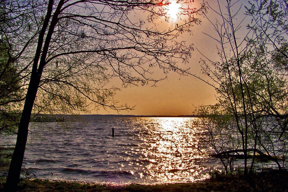 Müggelsee am Morgen