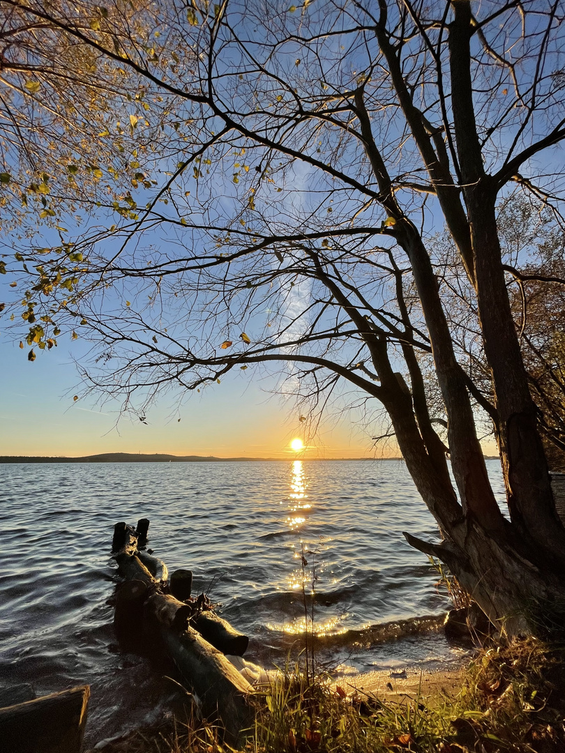 Müggelsee-Dämmerung